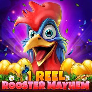 1 Reel - Rooster Mayhem