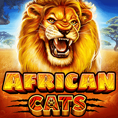 African Cats